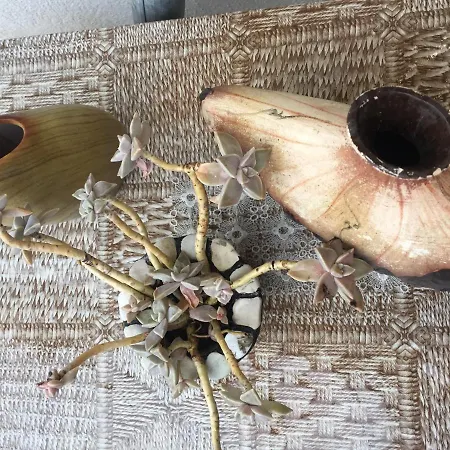 Salaria Penzion Gjirokastër