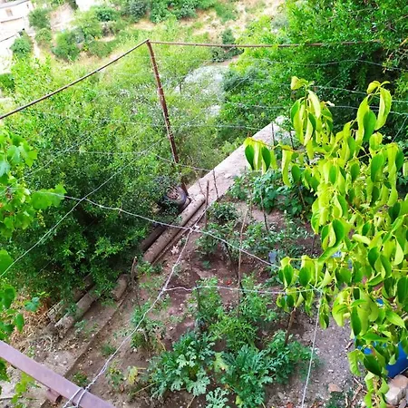 ゲストハウス Salaria