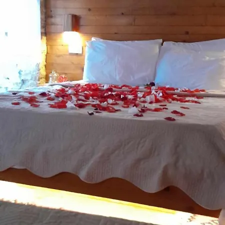 Salaria Guest house *